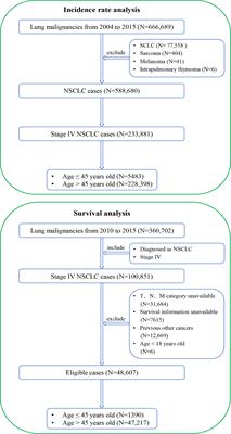 Stage IV non-small cell lung cancer among young individuals: Incidence, presentations, and survival outcomes of conventional therapies